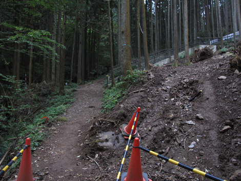 20151021hike (12)